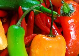 About Señor Fiesta and reviews